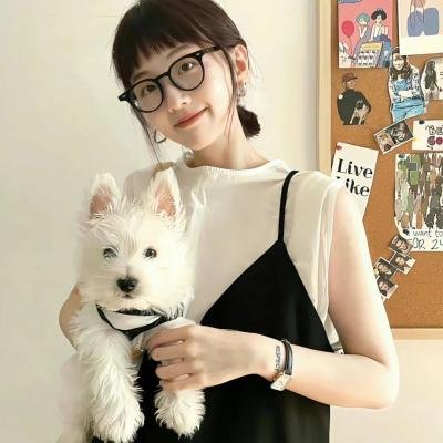 飞哥正传